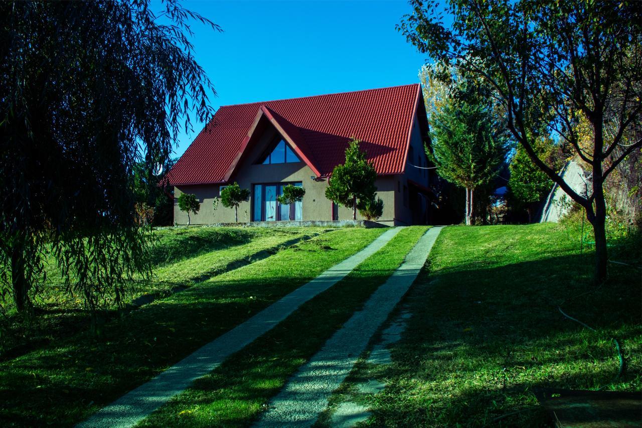 Guesthouse Vila Melisa Rasvadu de Sus Exterior photo